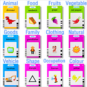 Tender Tots Talking Flash Cards Electronic Learning Toy for Kids